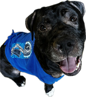 Fall Photos Reminder